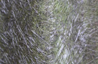 Wrotham fibreglass roof work